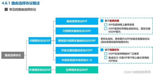 网络层路由协议RIP在网络与信息安全软件开发中的应用与分析