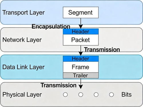 软件设计师视角下的网络与信息安全 核心框架与OSI七层模型详解及其在软件开发中的应用